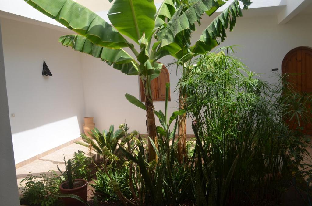 Отель Casa Naima Ida Ougourd Экстерьер фото